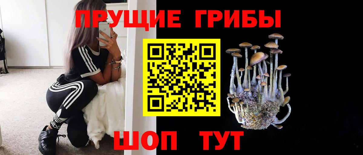 Псилоцибиновые грибы Magic Shrooms Химки